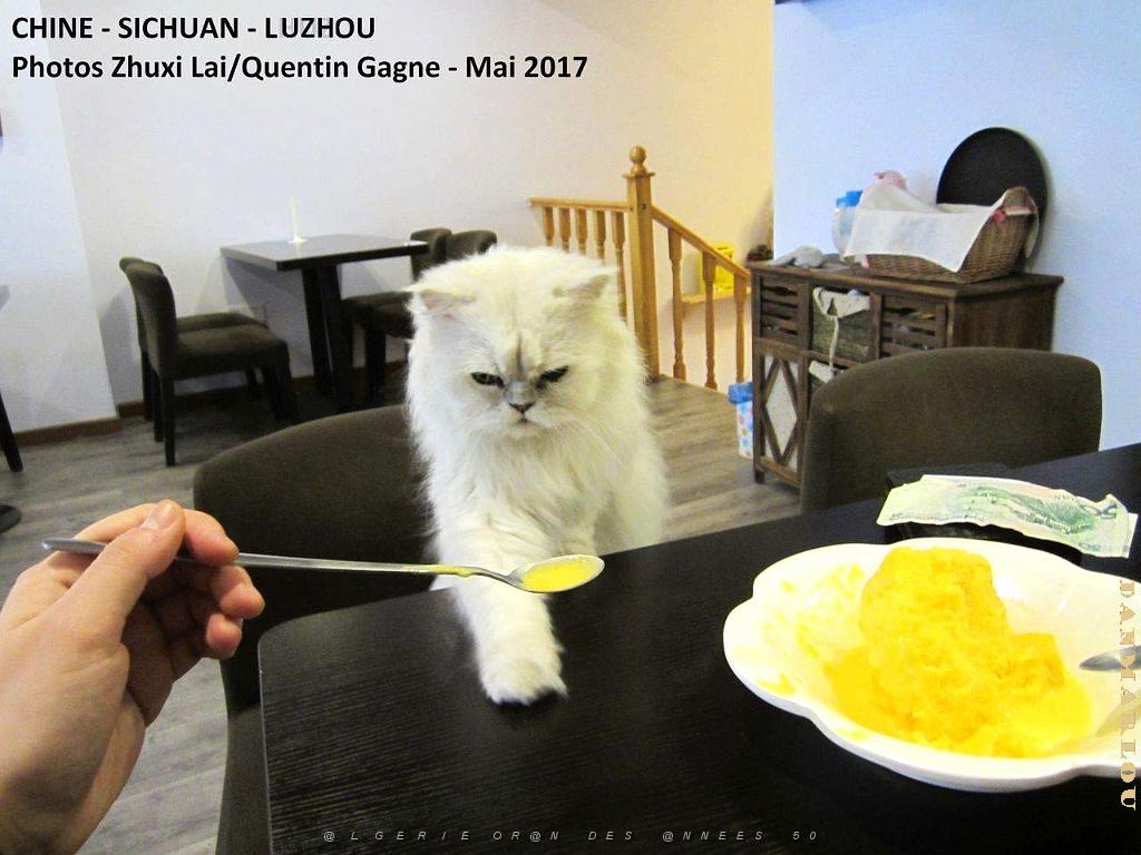Luzhou 122.JPG